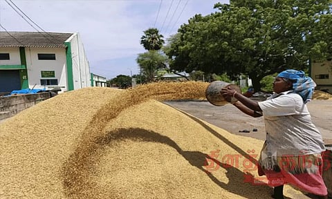 நெல் குவிண்டாலுக்கு ரூ.3,000 ஆக அறிவித்திட வேண்டும்: முதல்-அமைச்சரிடம் விவசாயிகள் சங்கம் வலியுறுத்தல்