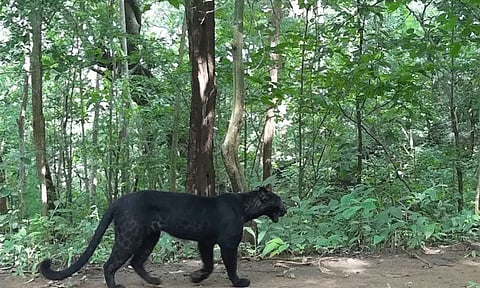 கோப்புப்படம்