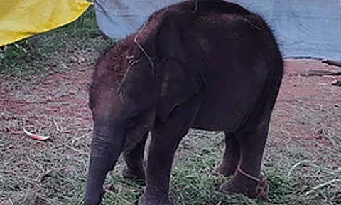 கோப்புப்படம்