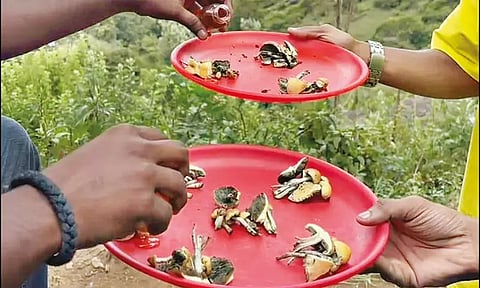 கொடைக்கானல் மேல்மலை பகுதியில் போதை காளான் விற்பனை அமோகம்