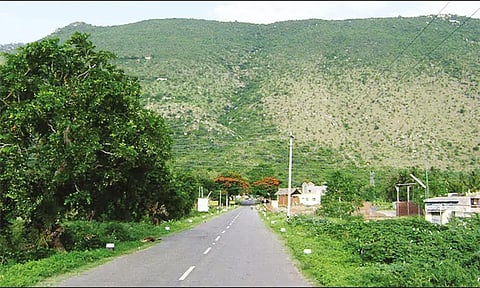 ஏலகிரி மலையில் ரோப் கார் வசதி ஏற்படுத்த திட்ட அறிக்கை தயாரிக்கும் பணி தீவிரம்