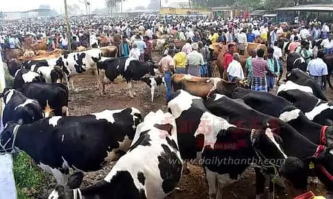 கோப்புப்படம்