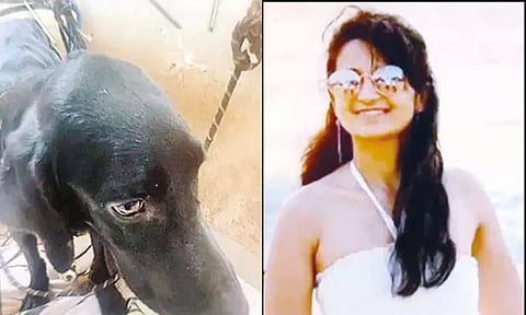 வளர்ப்பு நாயை கொடூரமாக கொன்ற பெண் கம்ப்யூட்டர் என்ஜினீயர்... மாந்திரீக பூஜை செய்தாரா?