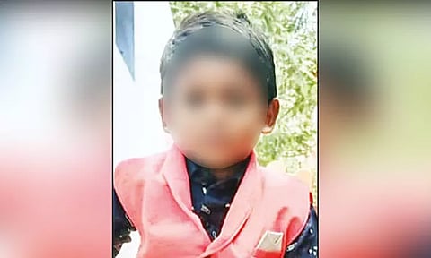 நெல்லையில் பரிதாபம்: விஷவண்டு கடித்து 2-ம் வகுப்பு மாணவன் சாவு