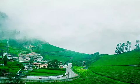 ஊட்டி சுற்றுலா தலங்களில் படப்பிடிப்புக்கு விதிக்கப்பட்ட தடை நீக்கம்