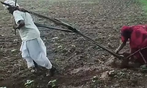 தோளில் கலப்பை பூட்டி உழுத விவசாயிக்கு ஜோடி காளை பரிசு; வீடியோ வைரலானதை அடுத்து உதவி குவிகிறது