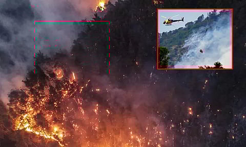 பிரான்சில் காட்டுத்தீ: 13 பேர் காயம்; 700 ஹெக்டேர் நிலப்பரப்பு எரிந்து சேதம்