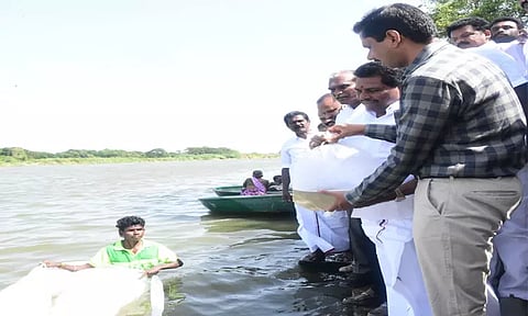 ஸ்ரீவைகுண்டம் அணைக்கட்டில் ஒரு லட்சம் மீன்குஞ்சுகள் விடும் பணி: அமைச்சர் அனிதா ராதாகிருஷ்ணன் துவக்கி வைத்தார்