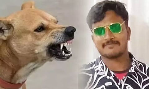 நாய்க்கடிக்கு சிகிச்சை எடுக்க தவறிய வாலிபர் உயிரிழந்த பரிதாபம்