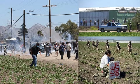 அமெரிக்காவில் சட்டவிரோதமாக தங்கி இருந்த 200 அகதிகள் கைது