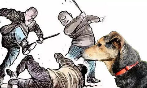 செல்லப்பிராணி நாயை கிண்டல் செய்த பக்கத்து வீட்டுக்காரரின் மூக்கை அறுத்த சகோதரர்கள்