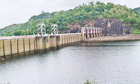 தொடர் மழை.. நெல்லை மாவட்ட அணைகளின் நீர்மட்டம் 'கிடுகிடு' உயர்வு