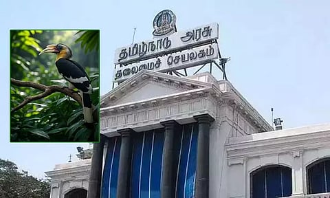 ஆனைமலையில் இந்தியாவின் முதல் இருவாச்சி பறவைகள் பாதுகாப்பு சிறப்பு மையம் - தமிழக அரசு அனுமதி