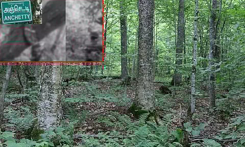 வனப்பகுதியில் மெய்மறந்து உல்லாசம்: பார்க்க கூடாததை பார்த்த கணவர்...கள்ளக்காதல் ஜோடி செய்த காரியம்