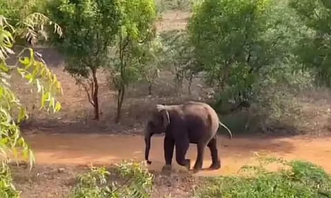 கோப்புப்படம்