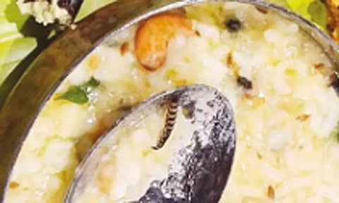 பெங்களூரு விமான நிலையத்தில் பிரபல ஓட்டலில் வாங்கிய பொங்கலில் புழு கிடந்ததால் பரபரப்பு