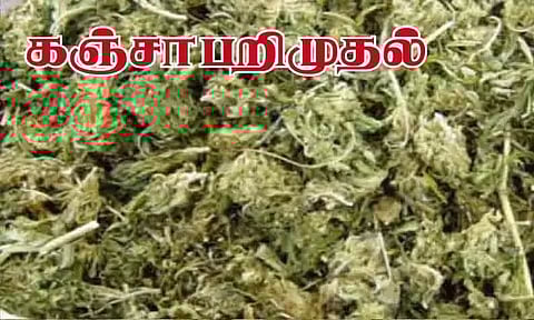 தூத்துக்குடியில் இருந்து இலங்கைக்கு கடத்த முயன்ற 210 கிலோ கஞ்சா பறிமுதல்: போலீஸ் விசாரணை