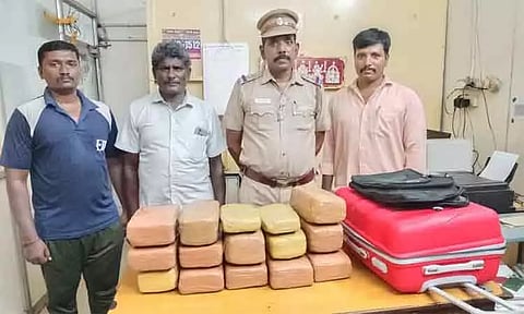 சென்னை சென்டிரல் ரெயில் நிலையத்தில் 28 கிலோ கஞ்சா பறிமுதல்