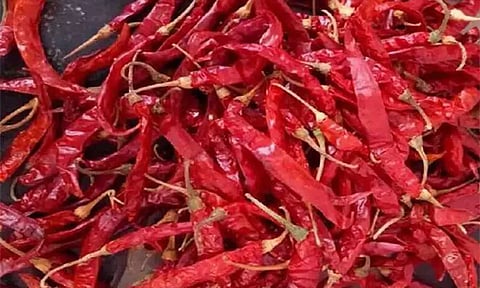 மிளகாய் சாகுபடி 20 சதவீதம் குறைய வாய்ப்பு