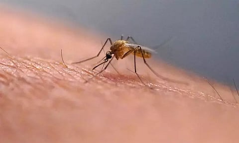 கோப்புப்படம்