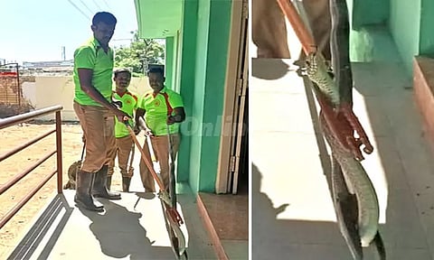 தூத்துக்குடி: அரசு ஆரம்ப சுகாதார நிலையத்திற்குள் புகுந்த 6 அடி நீள பாம்பு பிடிபட்டது