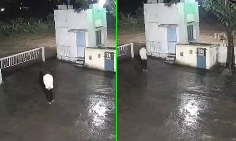 அவசரத்துக்கு 'ஒதுங்க போன' நபரின் எதிரில் திடீரென வந்த சிங்கம்; அடுத்து திக் திக் நிமிடங்கள்... வைரலான வீடியோ