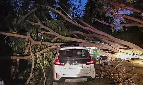 டெல்லி: மழைக்கு கடந்த ஒரு வாரத்தில் 9 பேர் பலி