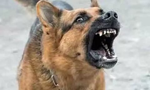 கோப்புப்படம்