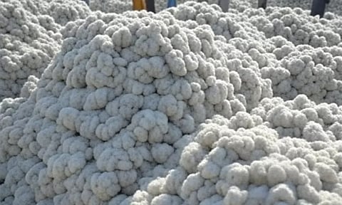 பருத்தி மீதான 11 சதவீத இறக்குமதி வரி ரத்து- மத்திய அரசு அறிவிப்பு