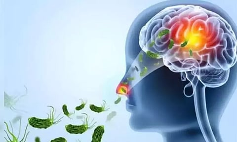 கேரளாவில் பரவுகிறது மூளையை தின்னும் அமீபா.. மூன்று மாத குழந்தை உள்பட 3 பேருக்கு பாதிப்பு