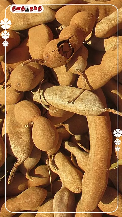 சுவை மட்டுமல்ல..ஆரோக்கியத்திற்கும் சிறந்தது புளி..!