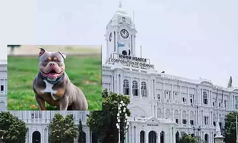 ‘ஆக்ரோஷமான தன்மை கொண்ட நாய்களை வளர்க்கக்கூடாது’ - சென்னை மாநகராட்சி எச்சரிக்கை