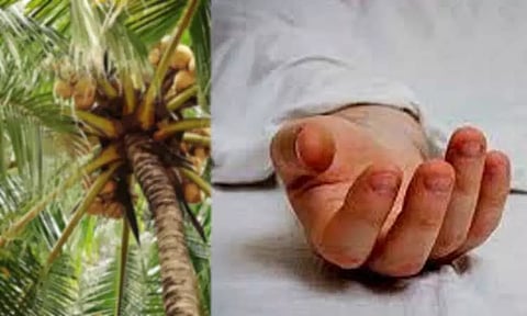 தென்னை மரத்தில் இருந்து தேங்காய் விழுந்து 5 மாத பெண் குழந்தை பலி