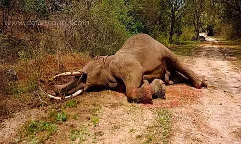 கோப்புப்படம்