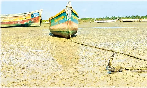 பாம்பனில் திடீரென உள்வாங்கிய கடல்