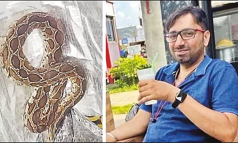 செருப்பில் பதுங்கியிருந்த கண்ணாடி விரியன் பாம்பு கடித்து கம்ப்யூட்டர் என்ஜினீயர் உயிரிழப்பு