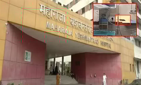 எலிகள் கடித்து ஐ.சி.யு.வில் 2 குழந்தைகள் பலியான விவகாரம்; 3 நாட்களுக்குள் அறிக்கை அளிக்க கலெக்டருக்கு நோட்டீஸ்