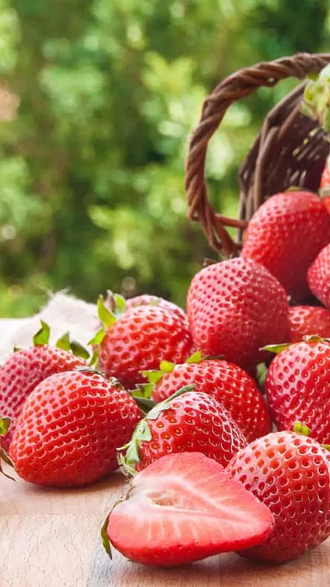 using all pic freepik