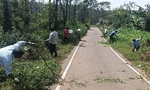 கொல்லிமலை: சாலையை ஆக்கிரமித்த செடி, கொடிகள் அகற்றம்