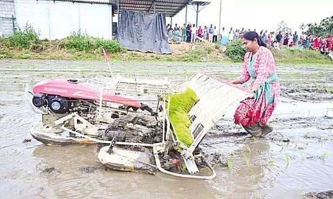 நவீன எந்திரம் மூலம் நெல் நடவு செய்த பெண் அதிகாரி