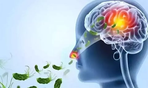 கேரளாவில் மேலும் ஒருவருக்கு அமீபா மூளைக்காய்ச்சல் பாதிப்பு