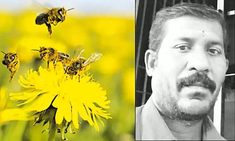 மலைத் தேனீக்கள் கொட்டியதில் ஒருவர் பலி - கள்ளக்குறிச்சியில் சோகம்