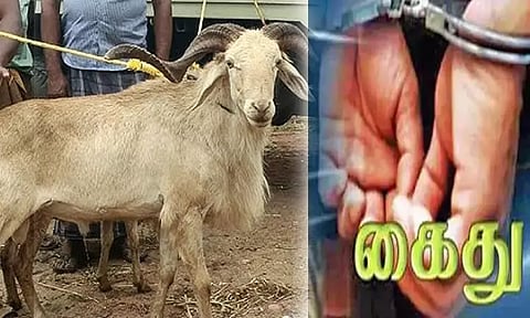 ஆடுகளை காரில் திருடிச்சென்ற வழக்கறிஞர் உட்பட 2 பேர் கைது