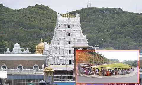 திருப்பதி ஏழுமலையான் கோவிலில் 3 கி.மீ. தூரத்திற்கு காத்திருந்து சாமி தரிசனம் செய்த பக்தர்கள்