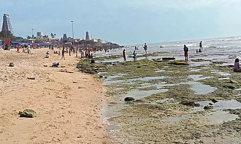 திருச்செந்தூரில் திடீரென உள்வாங்கிய கடல்