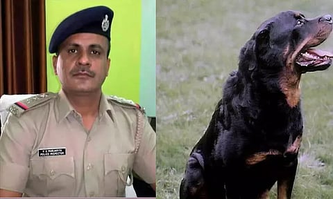 வளர்ப்பு நாயின் நகக் கீறல்; ரேபிஸ் தாக்கி காவல் ஆய்வாளர் உயிரிழப்பு