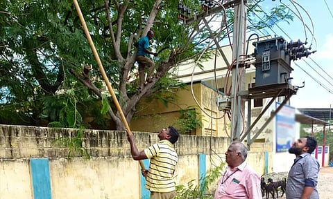 பருவமழை முன்னெச்சரிக்கை நடவடிக்கை: சென்னையில் 45 ஆயிரம் மரக்கிளைகள் வெட்டி அகற்றம்