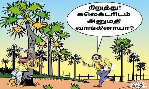 பனை மரங்களை வெட்ட தடை