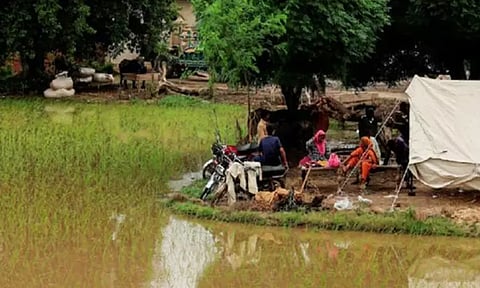 பாகிஸ்தானில் தொடர் மழை, வெள்ளம்; பலி எண்ணிக்கை 1006 ஆக உயர்வு