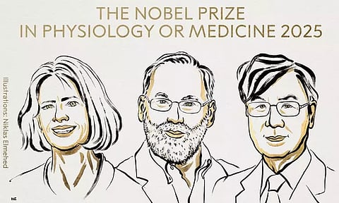 2025-ம் ஆண்டின் மருத்துவத்துக்கான நோபல் பரிசு 3 பேருக்கு அறிவிப்பு